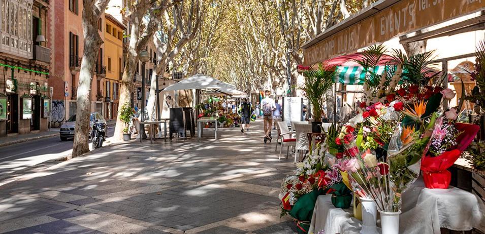 Rambla Palma Center Ξενοδοχείο Εξωτερικό φωτογραφία