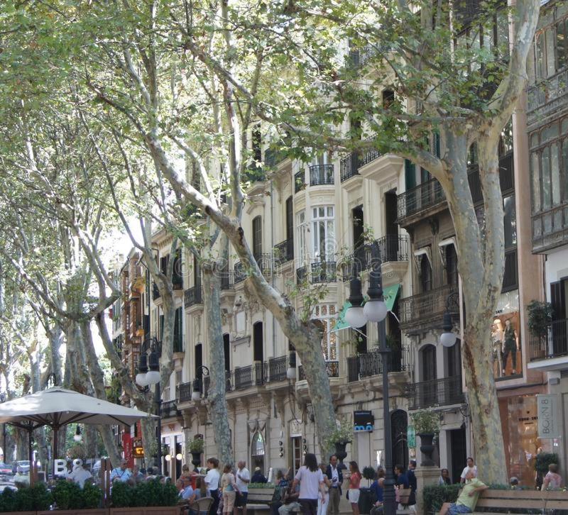 Rambla Palma Center Ξενοδοχείο Εξωτερικό φωτογραφία